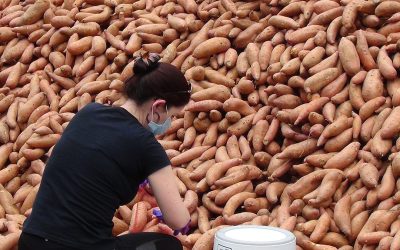 Series: Food insecurity and the COVID-19 pandemic